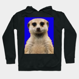 meerkat Hoodie